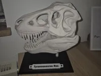 0.2mm layer, 3 walls, 10% infill