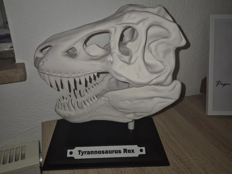 25cm-T-Rex-Schädel + Ständer + separates Schild