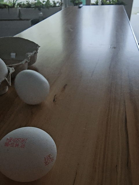 Ei des Kolumbus Trick/stand up egg