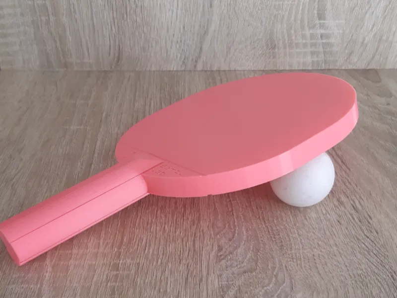 Raquette de ping-pong 3D