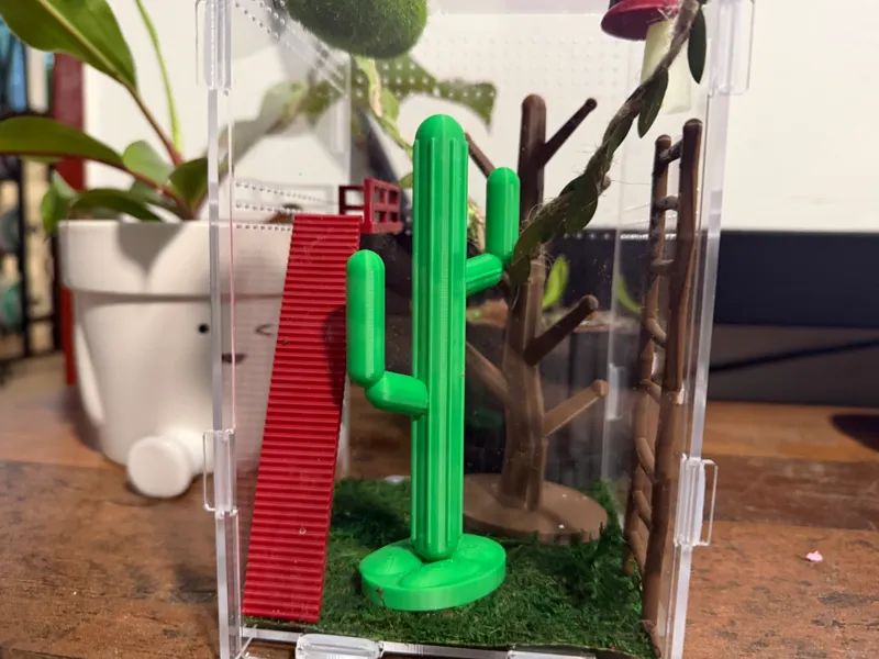Accessories  for Jumping Spiders - terarium 