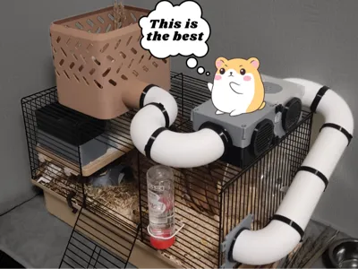 Djungarian hamster tubes with an adapter