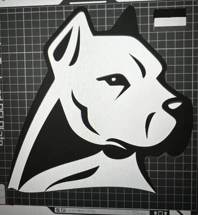 Dogo Argentino