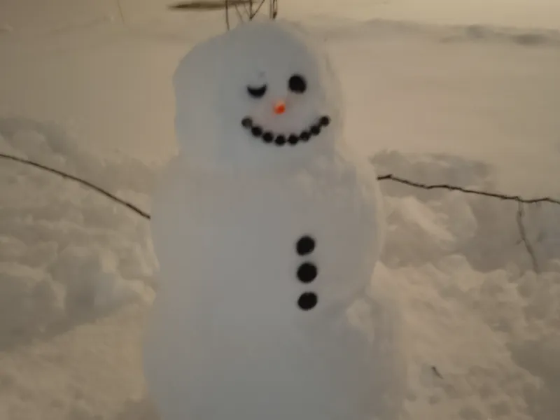 Accessoires bonhomme de neige