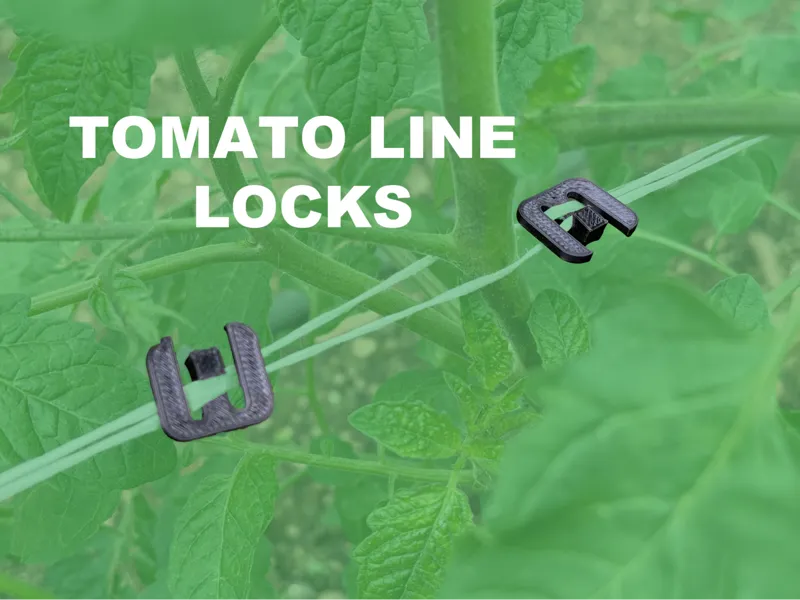 Locks for Tomato Lines