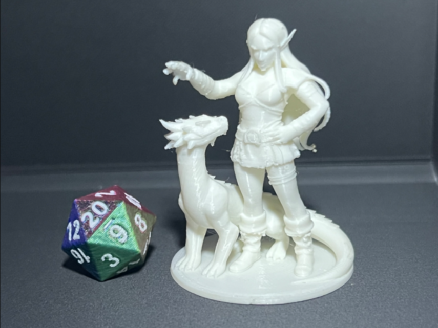 D&D-Elfe-Tamer