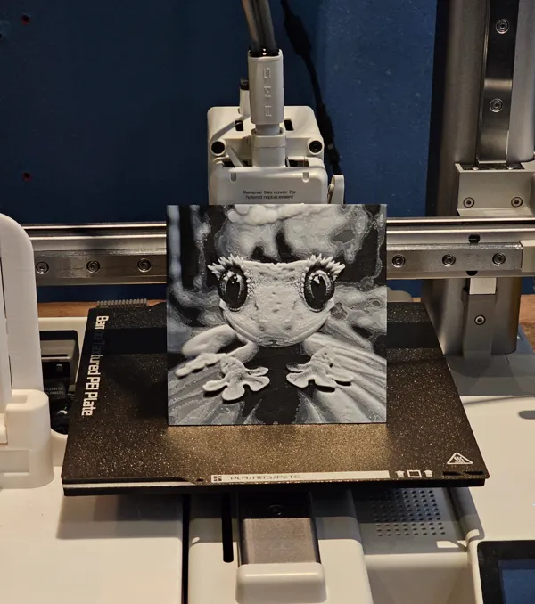 https://makerworld.bblmw.com/makerworld/model/US17254e6d897196/design/2024-06-16_2347953bf8bcd.jpg