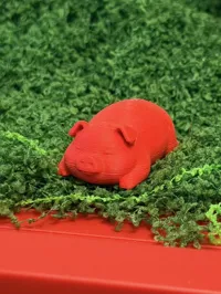 趴趴小猪