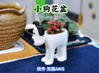 小号,宽高10cm左右,内深3cm左右。