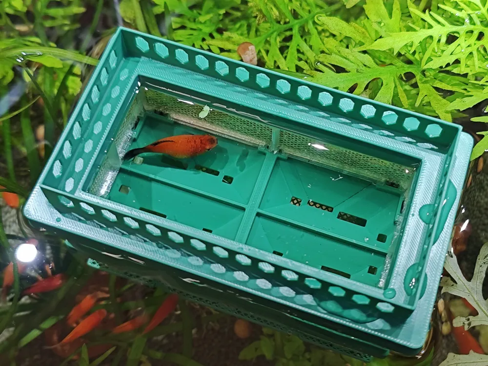 Fry Hatching Box by 吃穿住行玩 MakerWorld: Download Free 3D Models