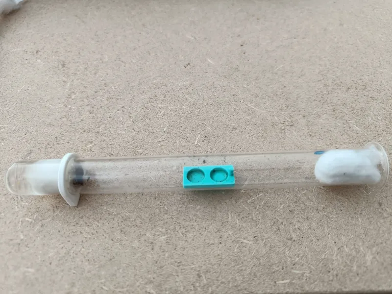 Ant Test Tube Holder