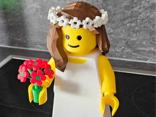 https://makerworld.bblmw.com/makerworld/model/US1733233cbe06c3/design/2025-04-28_014969e9e5a5f8.jpg