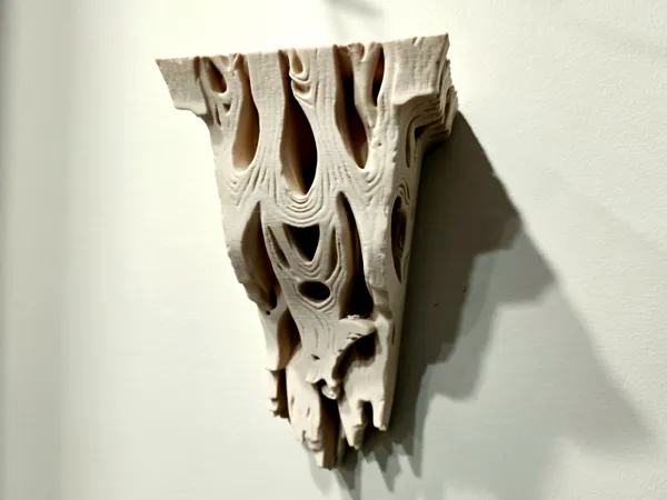 https://makerworld.bblmw.com/makerworld/model/US17363fd33da758/design/a86942ce5bb5223c.jpg