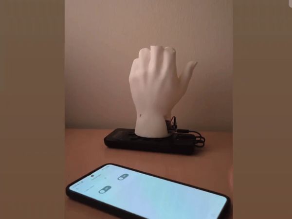 https://makerworld.bblmw.com/makerworld/model/US173f2eb7047d95/design/c1d707a91ea61d38.gif