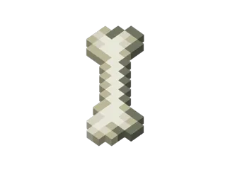 Minecraft Bone