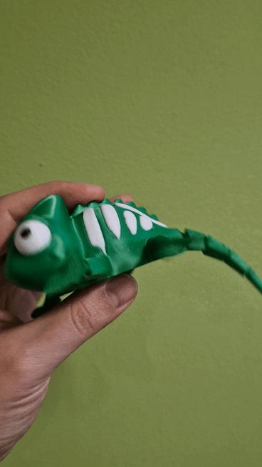 https://makerworld.bblmw.com/makerworld/model/US174d5cc119b28f/design/e94abb04d49829cd.gif