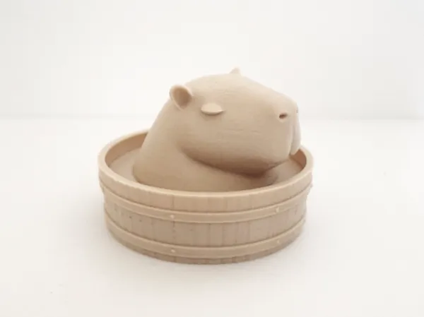 https://makerworld.bblmw.com/makerworld/model/US1752ed38468428/design/2025-09-29_db1951e1ce13c.jpg