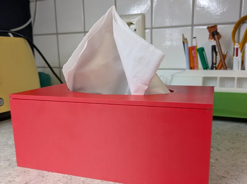 Taschentücherbox mit magnetischem Deckel