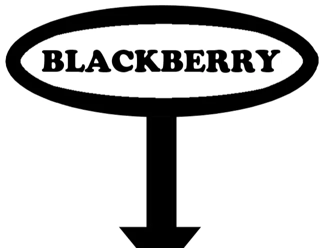 Blackberry Garden Stake
