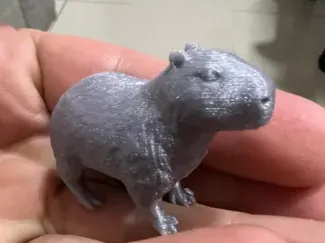 Capybara