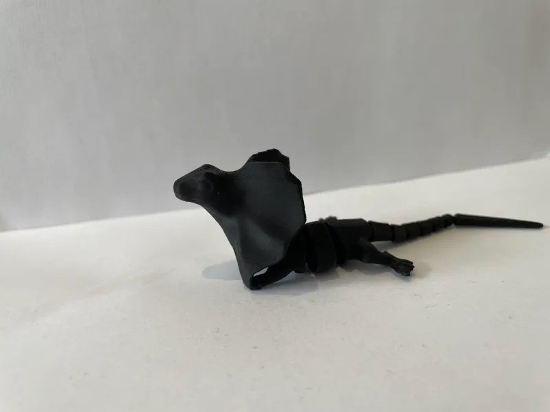 Chamelion Flexi