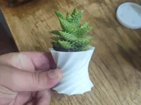 Vase torsadé avec sa soucoupe — photo 1