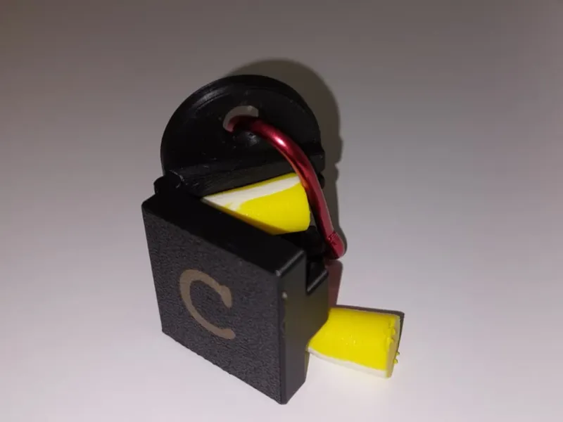 Customizable Keychain Earplug Container