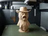 0.12mm layer, 2 walls, 15% infill