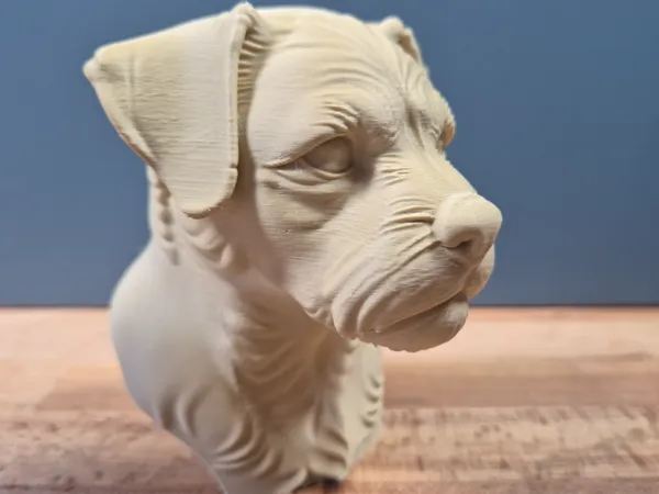 https://makerworld.bblmw.com/makerworld/model/US1760f58fb56004/design/2025-05-20_c09411a3d2dd3.jpg