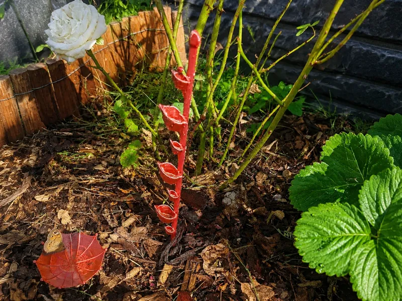 Insecten watering station summer 