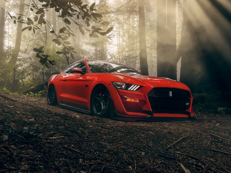 ford mustang car 