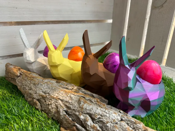 https://makerworld.bblmw.com/makerworld/model/US17644018451835/design/2024-03-17_67f6290b53d3d8.jpg