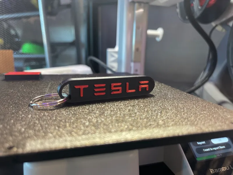 Tesla Keychain