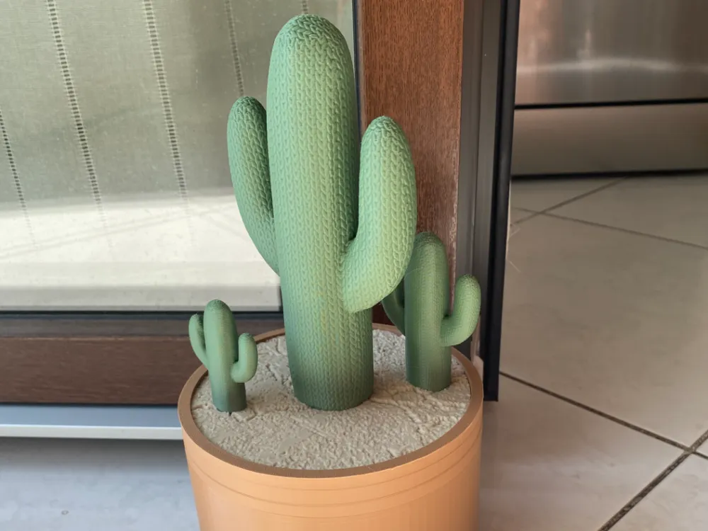 mammillaria tayloriorum Mammillaria tezontle  Kyle's Plants