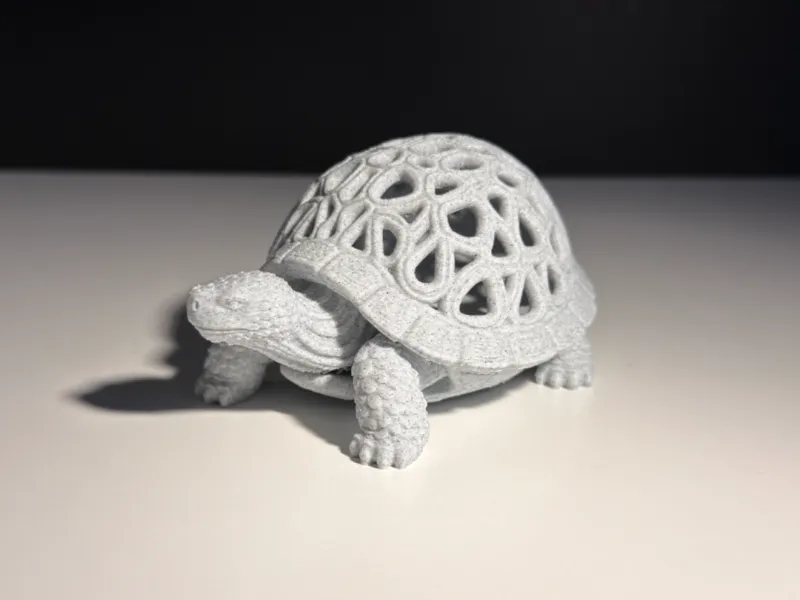 Turtle