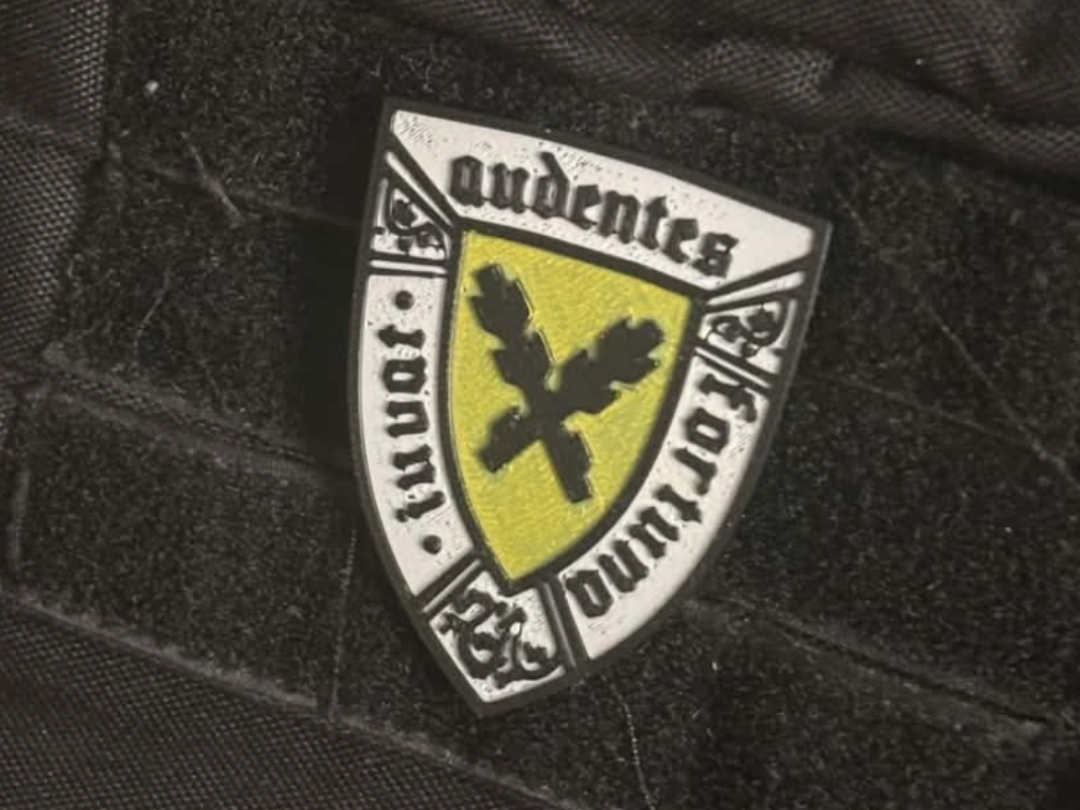 Audentes Fortuna iuvat, Lords of Leipa shield KCD