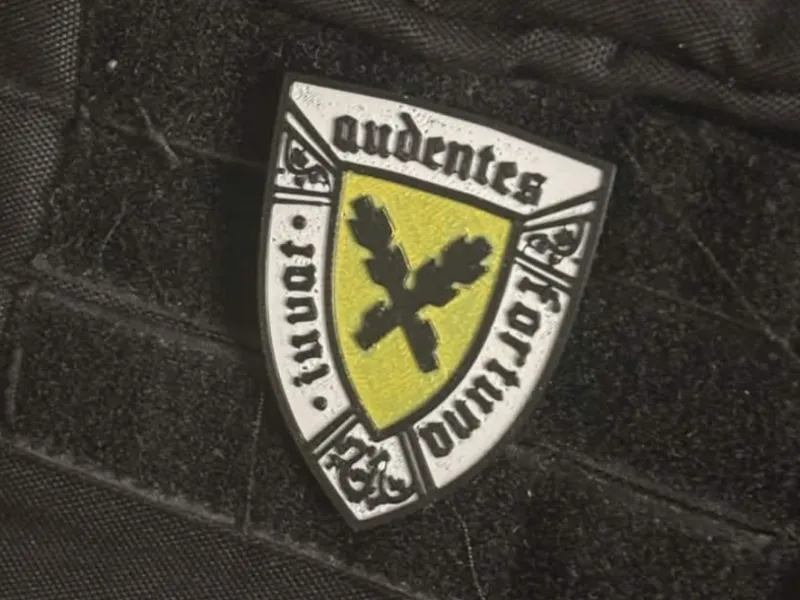 Audentes Fortuna iuvat, Lords of Leipa shield KCD