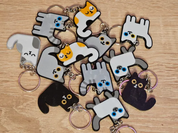 https://makerworld.bblmw.com/makerworld/model/US176cc2b7bd4baa/design/2025-06-04_6dac5c58151d18.jpg
