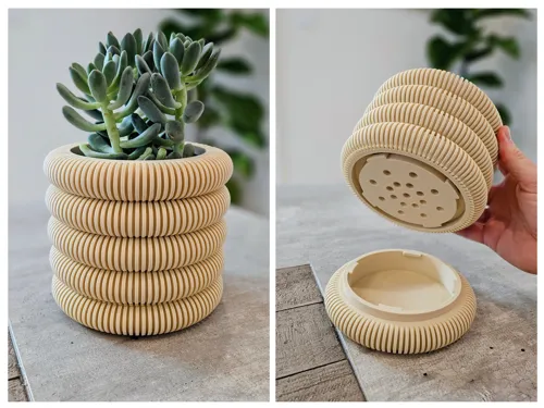 Vaso Moedas com Bandeja Oculta