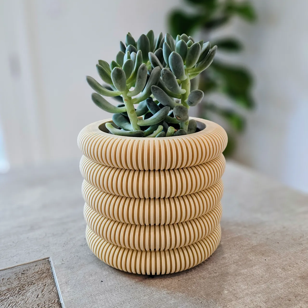 Coins Planter with Hidden Drip Tray view 2