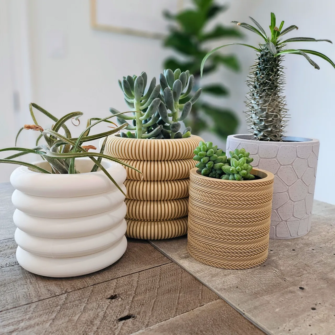 Coins Planter with Hidden Drip Tray view 4