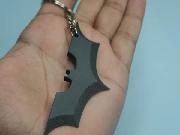 https://makerworld.bblmw.com/makerworld/model/US177145bf6ee243/design/2024-12-03_3982a4768830e.jpg