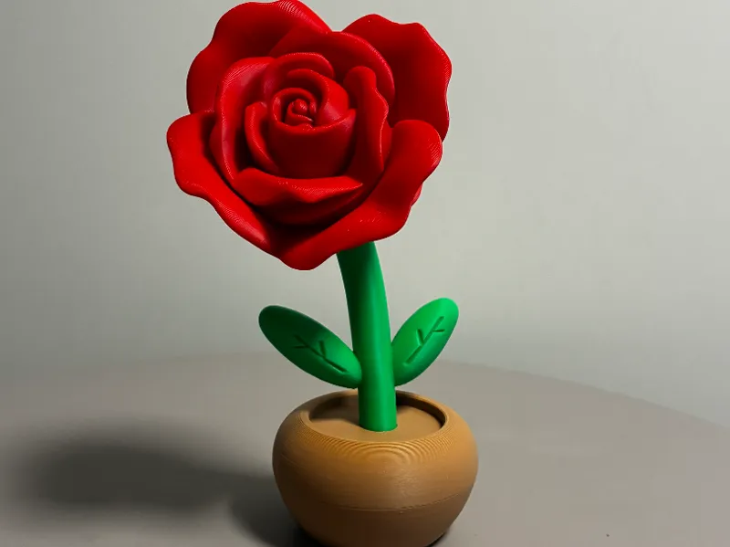 Toonish Balloon Rose