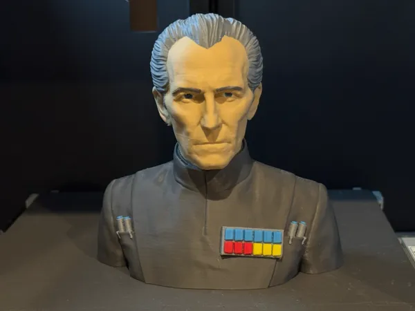 https://makerworld.bblmw.com/makerworld/model/US1777f913078a96/design/a6106cacede7c22b.jpeg