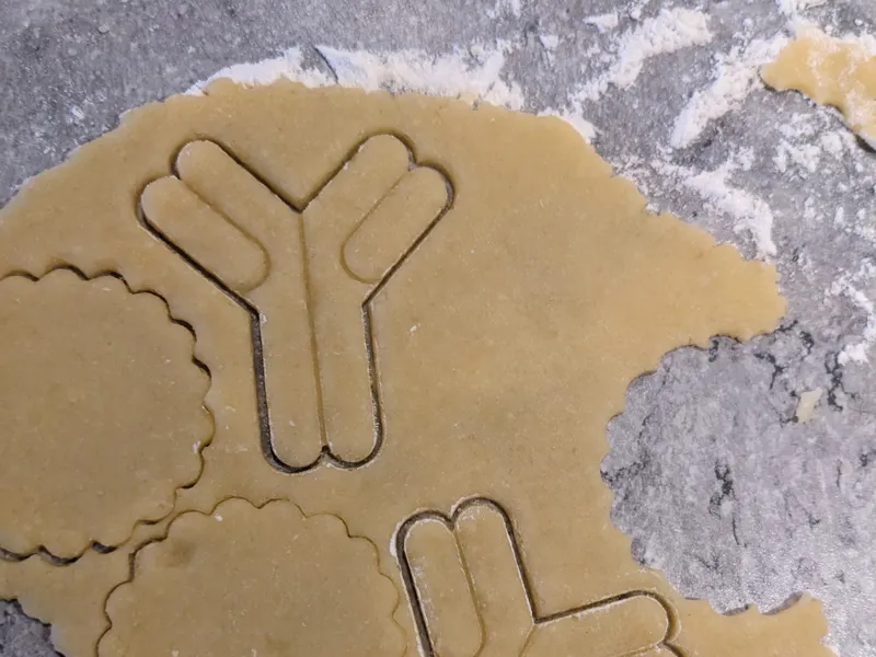 Antibody Cookie Cutter