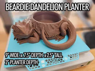 Beardie Dandelion Planter