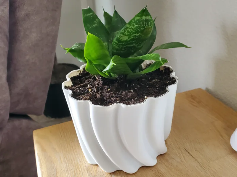 6 Inch Flower Pot