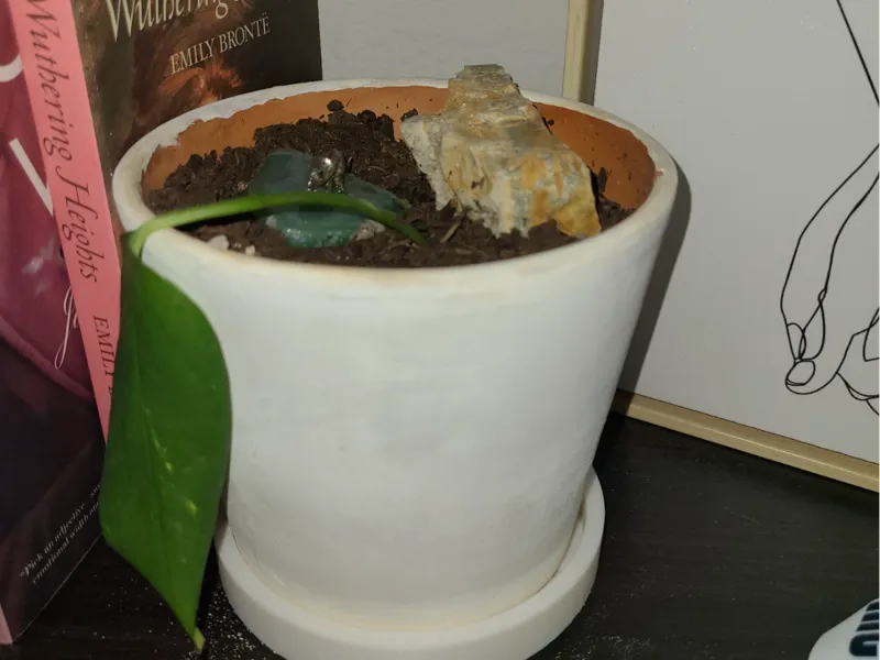 Simple Plant Holder