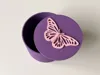 Cute Butterfly