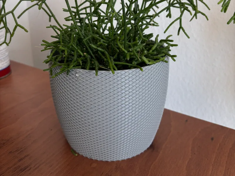 Pflanzen Topf 130x110